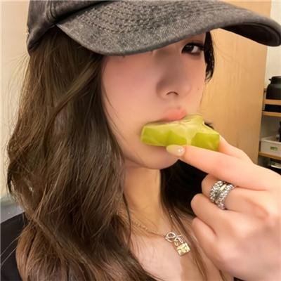 锦囊妙录