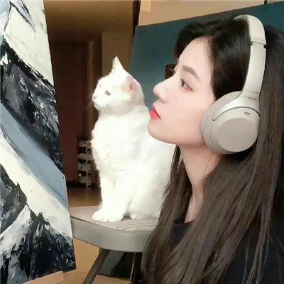 树袋熊