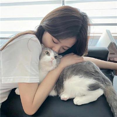 白雾谜岸